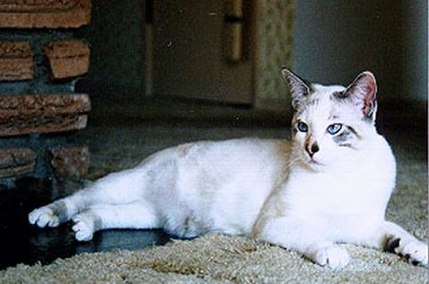Abigail, 1996
