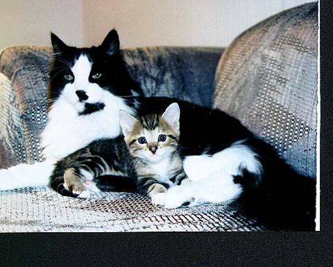 Fatima and Ruger